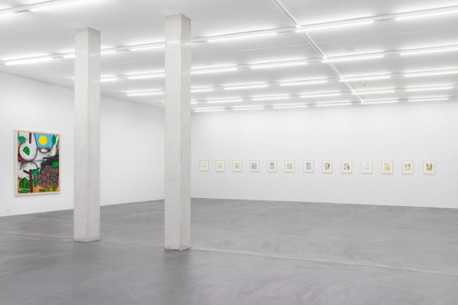 Installation view of Carroll Dunham painting and drawing exhibition