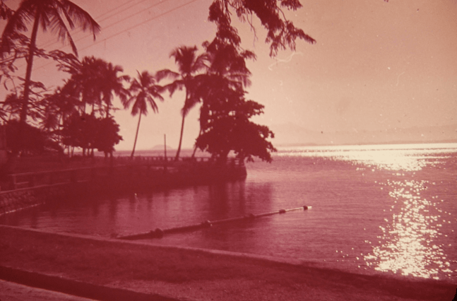 Melas Papadopoulos Group show