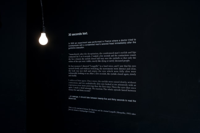 Installation view of video installation by Douglas Gordon