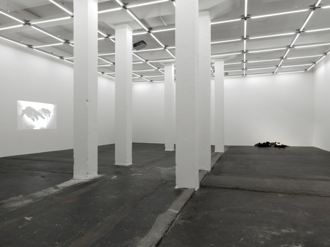 Installation view of Peter Fischli David Weiss film and sculpture exhibition