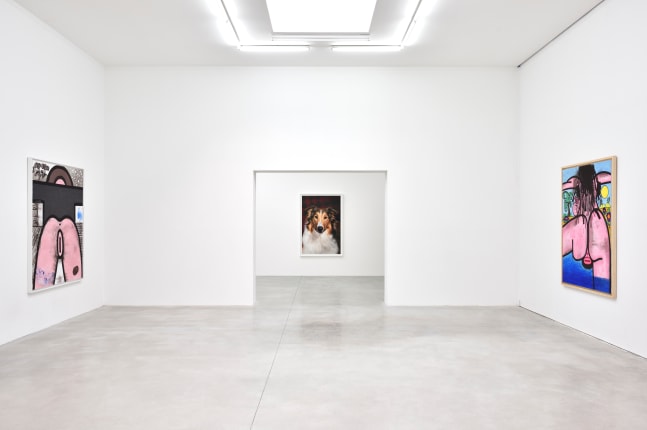 Installation view, Carroll Dunham &amp;amp; Laurie Simmons, Consortium Museum, Dijon, 2024