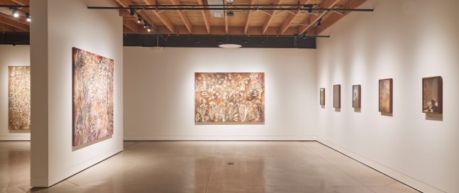 Installation view, Sam Falls, Nothing Without Nature, Cookie Factory, Denver, 2025