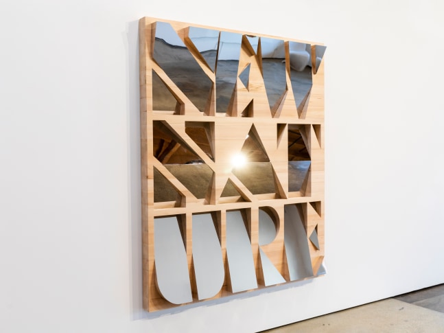 wall work with text saying 'New Nature' by Doug Aitken