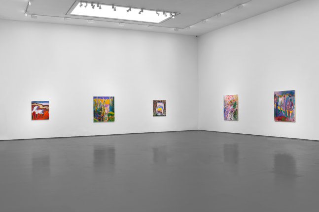 Installation view of Paintings by Shara Hughes