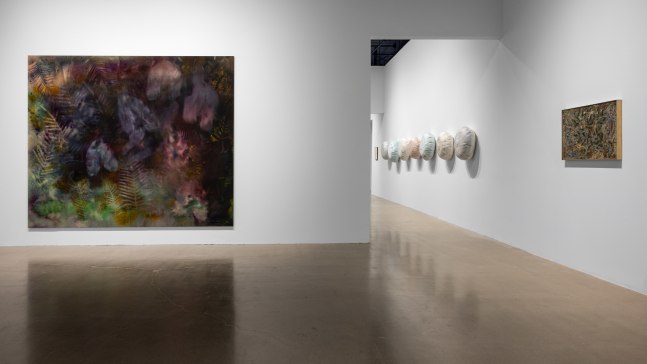 installation view sam falls cleveland