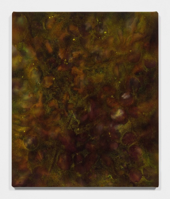 BOLINAS APPLE TREE
2020
Pigment on canvas
60 x 72 x 3 cm / 23 5/8 x 28 3/8 x 1 1/8 inches