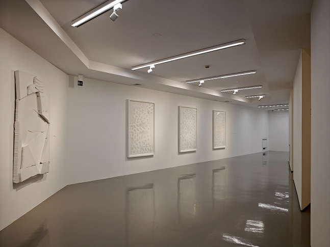 Installation view of works by Wyatt Kahn