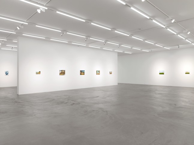Installation view of Karen Kilimnik paintings exhibition