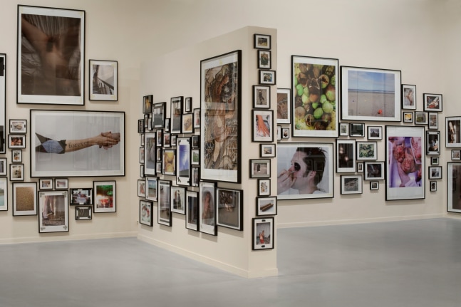 Installation view of photographs by Douglas Gordon