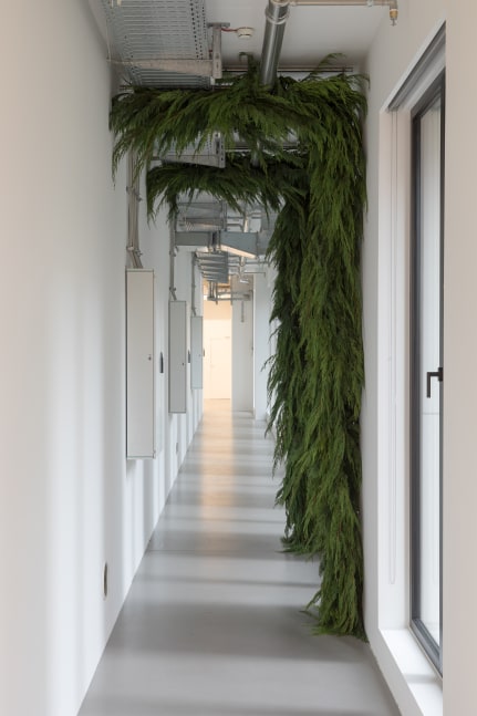 Installation view, Trisha Donnelly, MMK, Frankfurt, 2025