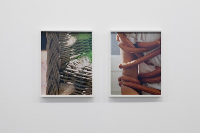 Installation view of photographs by Torbjørn Rødland