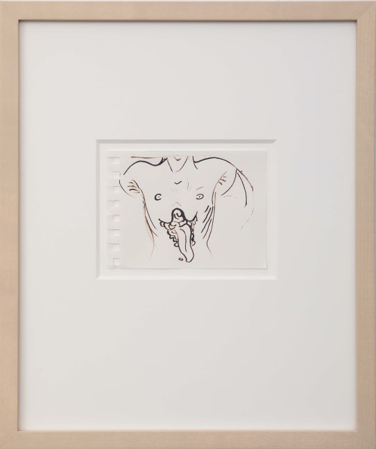 Drawing by Steven Shearer