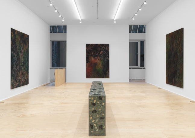 Installation view of Sam Falls paintings and sculptures exhibition