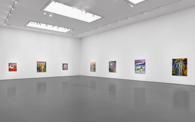 Installation view of Paintings by Shara Hughes