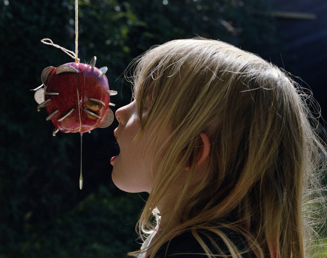 Torbjørn Rødland Apple 2006 Chromogenic print