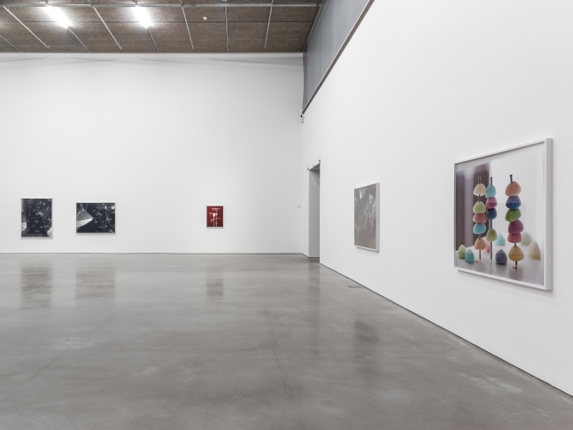 Installation view of photographs by Torbjørn Rødland
