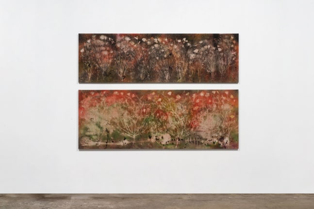 SUPER BLOOM, ANCIENT EARTH (MOJAVE DESERT)
2020
Pigment on linen; 2 parts
Painting 1: 61 x 199.5 cm / 24 x 78 1/2 inches
Painting 2: 74 x 199.5 cm / 29 1/8 x 78 1/2 inches