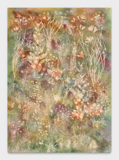 Life is Light

2025

Pigment on canvas

269 x 193 cm / 106 x 76 in

&amp;copy; Sam Falls