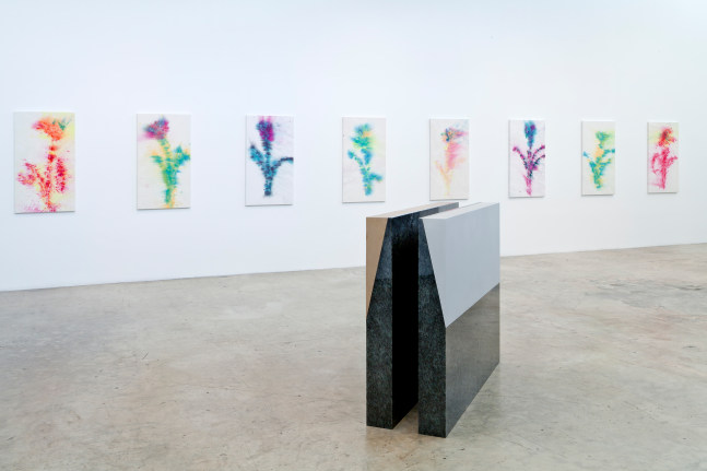 Installation view of paintings and sculptures by Sam Falls