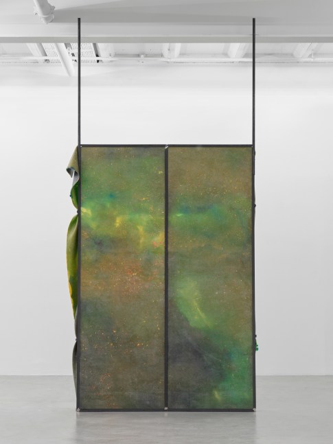 Crush 1

2024

Metal, latex, pigment, talcum

300 x 200 x 30 cm / 118 1/8 x 78 3/4 x 11 3/4 in

&amp;copy; Liesl Raff