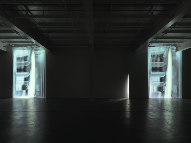 Film installation by Trisha Donnelly