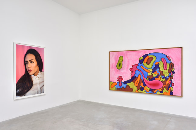 Installation view, Carroll Dunham &amp;amp; Laurie Simmons, Consortium Museum, Dijon, 2024