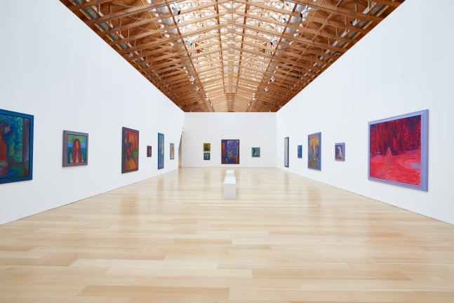 Installation view of paintings by Steven Shearer