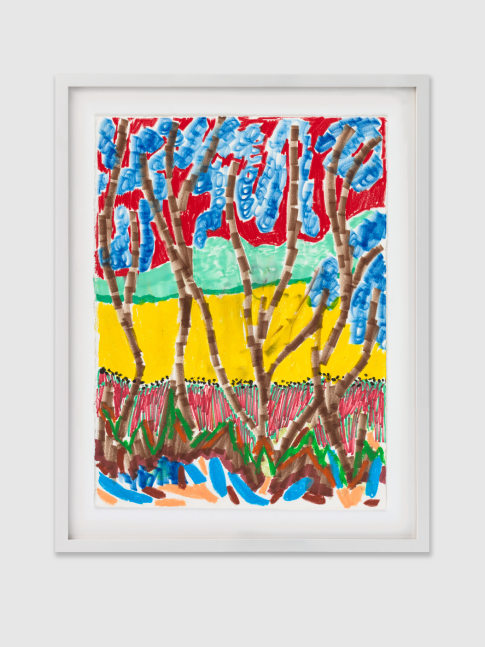 Drawing by Shara Hughes