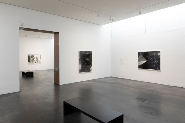 Installation view of photographs by Torbjørn Rødland