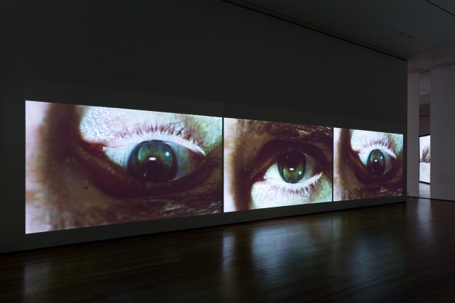 Installation view of video installation by Douglas Gordon