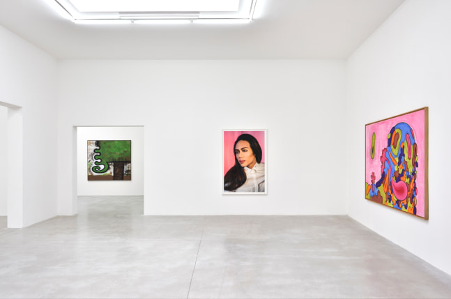 Installation view, Carroll Dunham &amp;amp; Laurie Simmons, Consortium Museum, Dijon, 2024