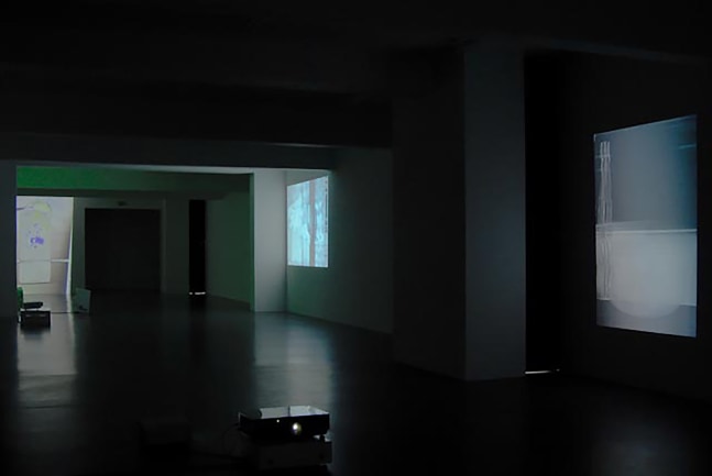 Installation view of videos by Trisha Donnelly