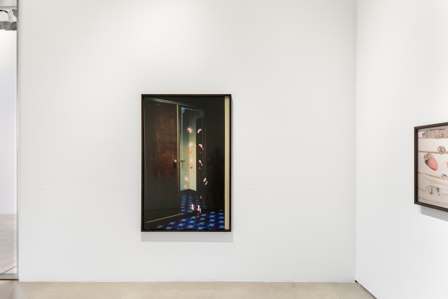Installation view of Works by Lucas Blalock