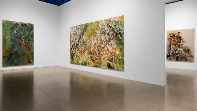 installation view sam falls cleveland