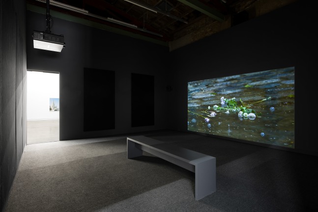 Installation view of photographies by Torbjørn Rødland