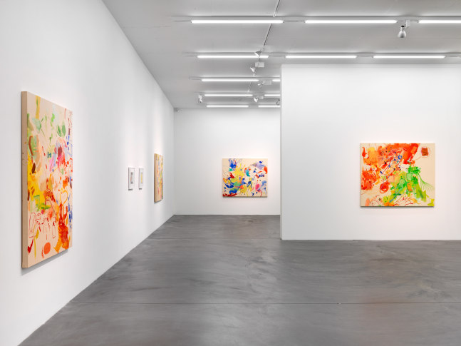 Installation view of Sue Williams painting exhibition