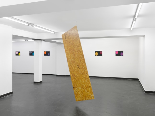 Installation view of paintings and sculptures by Valentin Carron