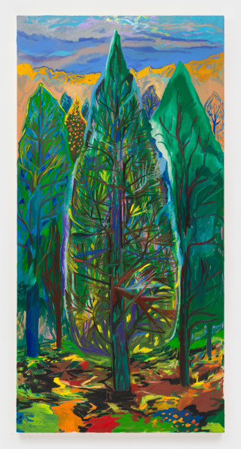 Whose with Me

2024

Oil, acrylic and dye on canvas

254 x 127 cm / 100 x 50 in

&amp;copy; Shara Hughes