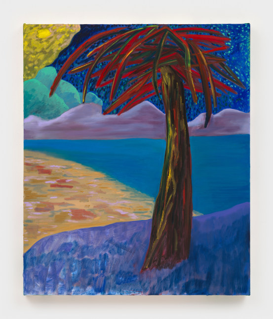 Lonley Island

2024

Oil, acrylic and dye on canvas

91.5 x 76 cm / 36 x 30 in

&amp;copy; Shara Hughes