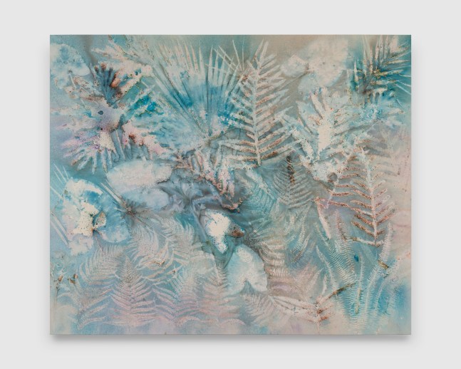 Sun Meet Snow

2025

Pigment on canvas

198 x 238 cm / 78 x 93 3/4 in&amp;nbsp;

&amp;copy; Sam Falls