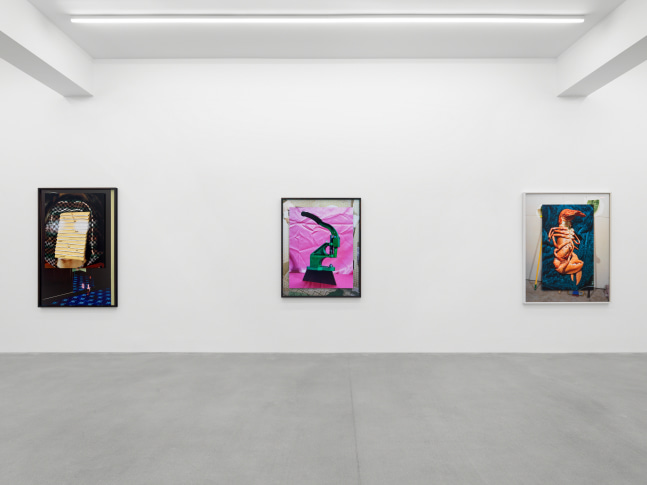 installation view of Lucas Blalock