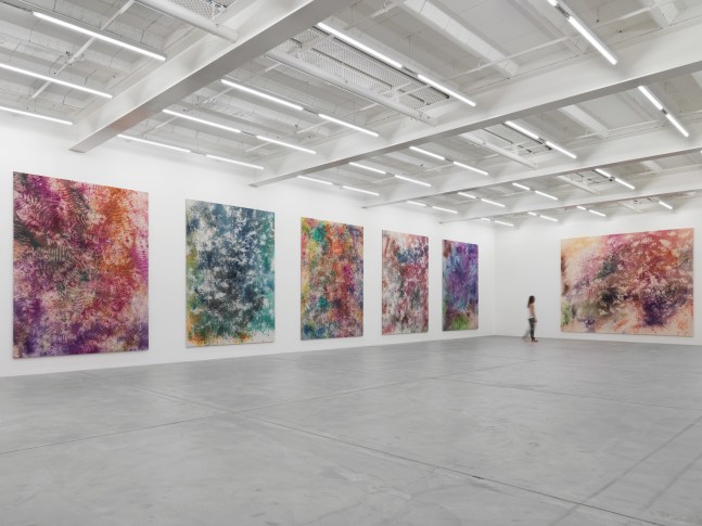 Installation view of Sam Falls paintings exhibition