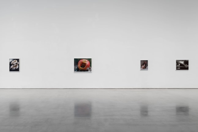 Installation view, Torbj&amp;oslash;rn R&amp;oslash;dland, Songs for the Sun, Yuz Museum, Shanghai, 2025