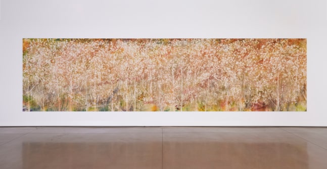 Installation view, Sam Falls, Nothing Without Nature, Cookie Factory, Denver, 2025