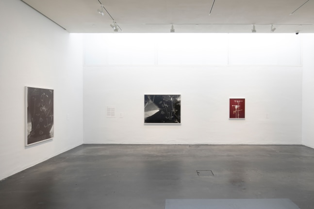 Installation view of photographs by Torbjørn Rødland