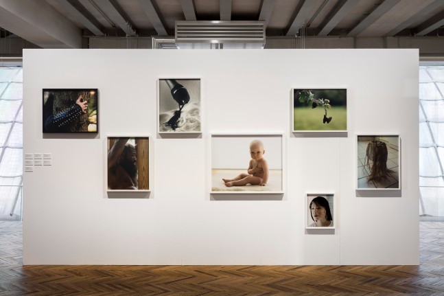 Installation view of photographs by Torbjørn Rødland