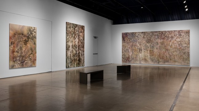 installation view sam falls cleveland