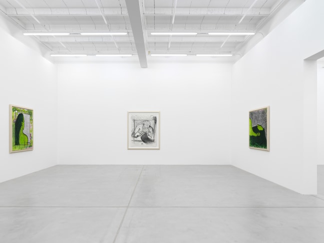 Installation view of paintings by Carroll Dunham