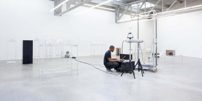 Installation view of sculptures by Matthew Angelo Harrison