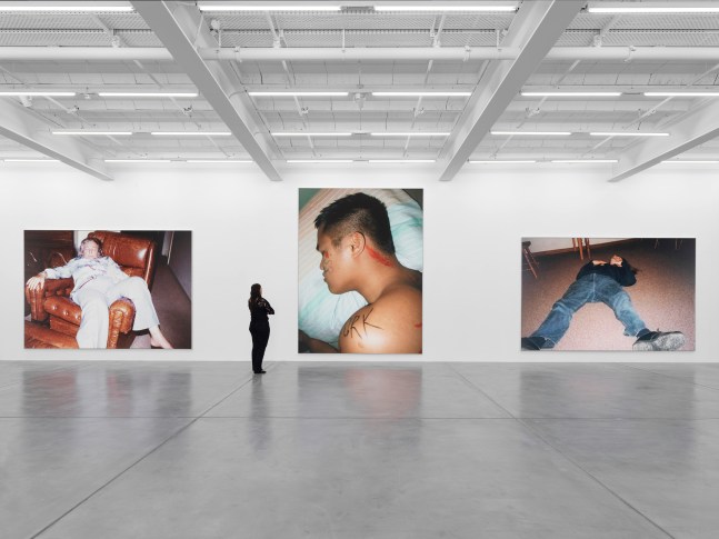 Installation view, Steven Shearer, The Golden Recline, Galerie Eva Presenhuber, Maag Areal, Zurich, 2025